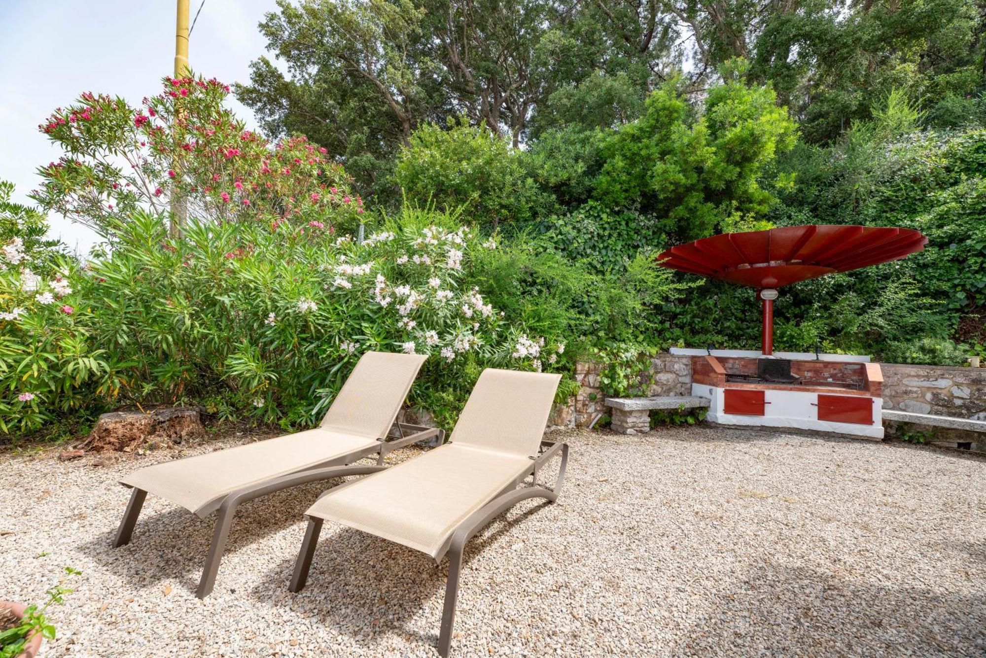 Villa Francy Portoferraio Exterior foto